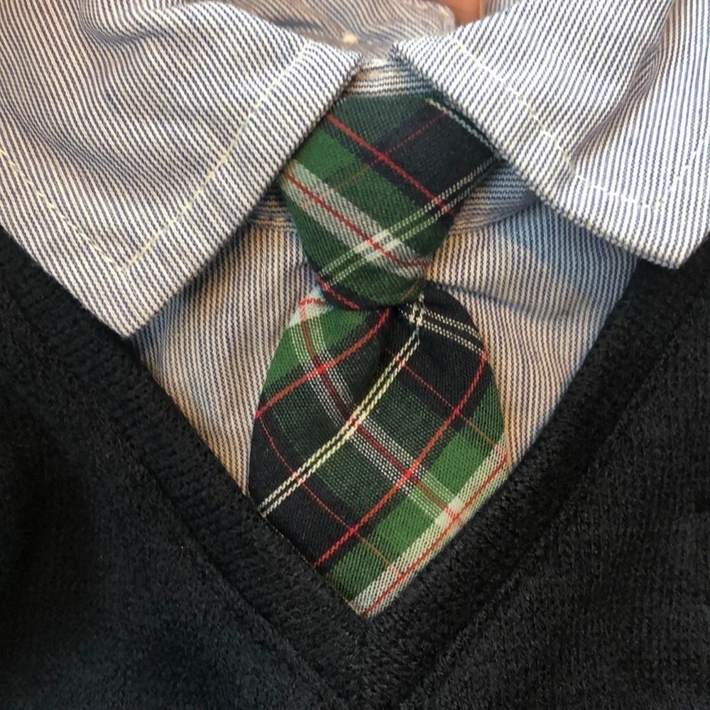 Koala baby Boutique Sweater Shirt with tie
